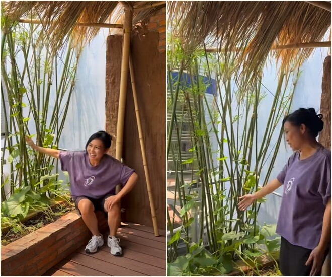 Nữ nghệ sĩ Việt từng chi 270 c&acirc;y v&agrave;ng để mua nh&agrave;: 53 tuổi sống b&igrave;nh y&ecirc;n trong cơ ngơi 2 tầng, mang phong c&aacute;ch đồng qu&ecirc; mộc mạc- Ảnh 7.