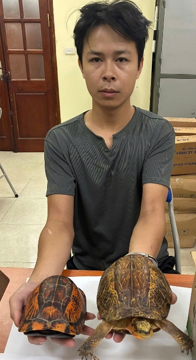 Bắt giữ người bán rùa Nguyễn Thanh Tùng SN 1990- Ảnh 1. Bắt giữ người bán rùa Nguyễn Thanh Tùng SN 1990- Ảnh 1.