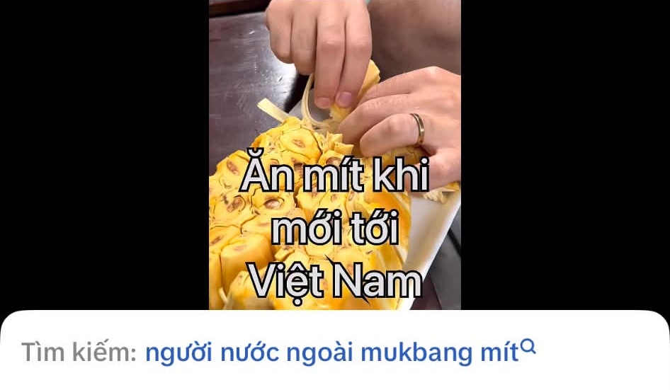 Kh&aacute;ch T&acirc;y v&agrave; chuyện ăn m&iacute;t khi đến Việt Nam: Viết được th&agrave;nh tiểu thuyết 1.000 chương- Ảnh 4.