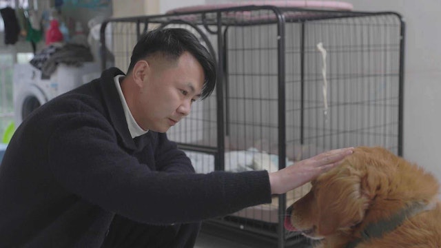 Nghề “theo dõi, giải cứu thú cưng” 22 ngày nhận lương 130 triệu đang hot ở Trung Quốc: Khách hàng đôi khi chỉ mua hy vọng- Ảnh 6. Nghề “theo dõi, giải cứu thú cưng” 22 ngày nhận lương 130 triệu đang hot ở Trung Quốc: Khách hàng đôi khi chỉ mua hy vọng- Ảnh 6.