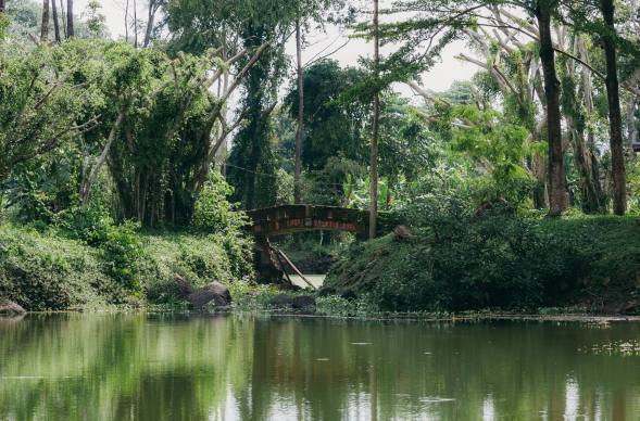 Kh&ocirc;ng thể tin đ&acirc;y l&agrave; NSƯT gi&agrave;u nhất Việt Nam, sở hữu 5 h&ograve;n đảo m&agrave; sao t&agrave;n tạ thế n&agrave;y- Ảnh 8.