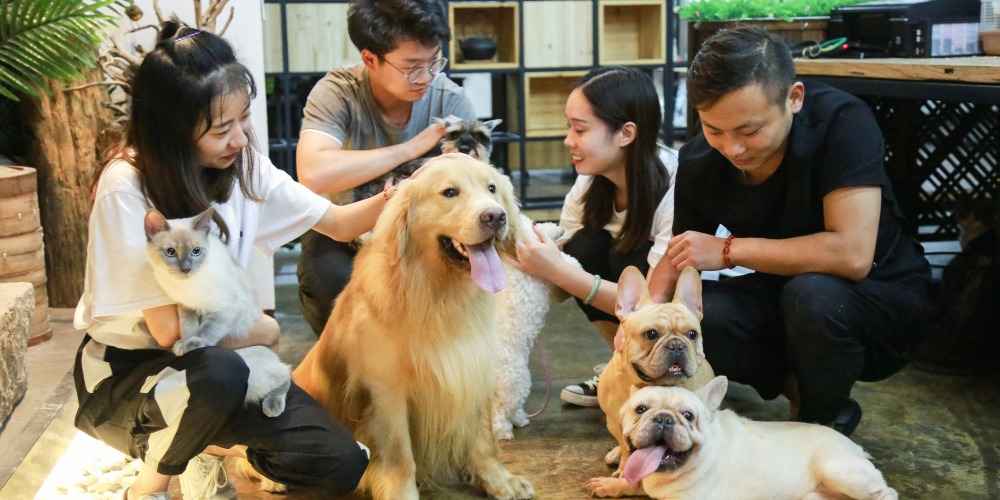 Nghề “theo dõi, giải cứu thú cưng” 22 ngày nhận lương 130 triệu đang hot ở Trung Quốc: Khách hàng đôi khi chỉ mua hy vọng- Ảnh 1. Nghề “theo dõi, giải cứu thú cưng” 22 ngày nhận lương 130 triệu đang hot ở Trung Quốc: Khách hàng đôi khi chỉ mua hy vọng- Ảnh 1.