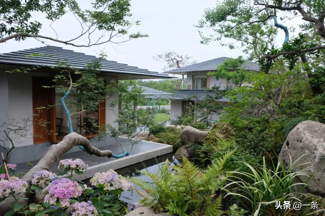 Bỏ phố về qu&ecirc;, người đ&agrave;n &ocirc;ng 8X d&agrave;nh 3 năm biến ng&ocirc;i nh&agrave; cũ th&agrave;nh khu vườn 1.700m&sup2;: Kh&ocirc;ng chỉ x&acirc;y nơi ở, anh c&ograve;n x&acirc;y một chốn để cả gia đ&igrave;nh trở về- Ảnh 10.