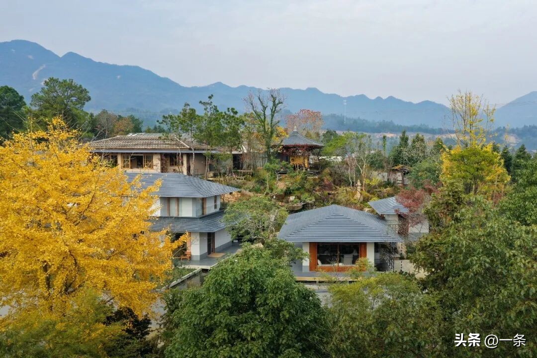 Bỏ phố về qu&ecirc;, người đ&agrave;n &ocirc;ng 8X d&agrave;nh 3 năm biến ng&ocirc;i nh&agrave; cũ th&agrave;nh khu vườn 1.700m&sup2;: Kh&ocirc;ng chỉ x&acirc;y nơi ở, anh c&ograve;n x&acirc;y một chốn để cả gia đ&igrave;nh trở về- Ảnh 8.