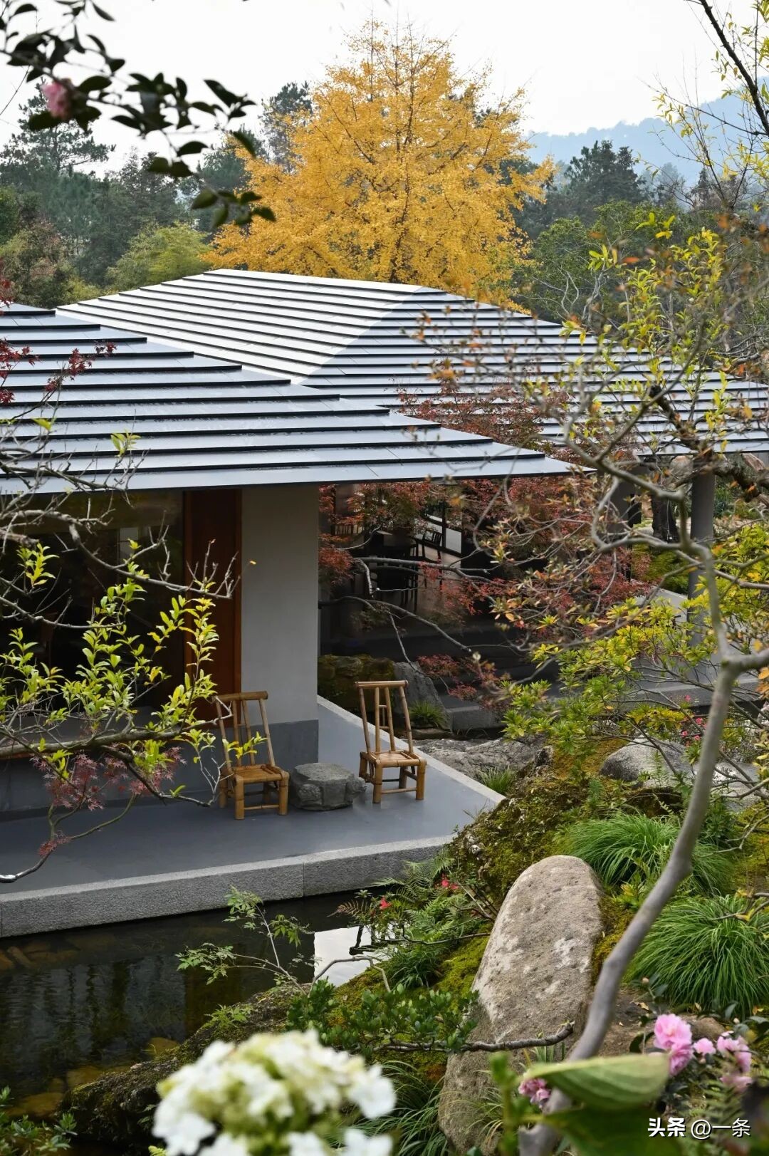Bỏ phố về qu&ecirc;, người đ&agrave;n &ocirc;ng 8X d&agrave;nh 3 năm biến ng&ocirc;i nh&agrave; cũ th&agrave;nh khu vườn 1.700m&sup2;: Kh&ocirc;ng chỉ x&acirc;y nơi ở, anh c&ograve;n x&acirc;y một chốn để cả gia đ&igrave;nh trở về- Ảnh 15.