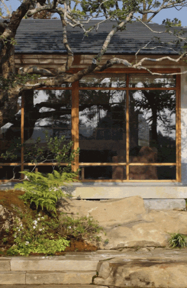 Bỏ phố về qu&ecirc;, người đ&agrave;n &ocirc;ng 8X d&agrave;nh 3 năm biến ng&ocirc;i nh&agrave; cũ th&agrave;nh khu vườn 1.700m&sup2;: Kh&ocirc;ng chỉ x&acirc;y nơi ở, anh c&ograve;n x&acirc;y một chốn để cả gia đ&igrave;nh trở về- Ảnh 5.