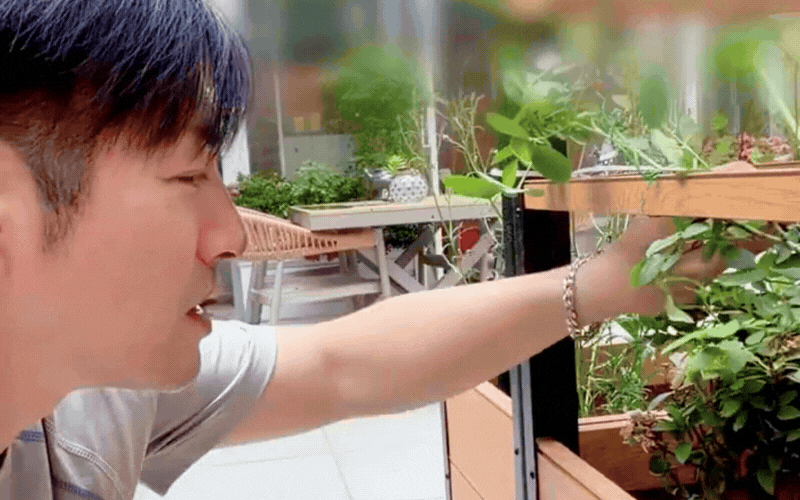 Yêu hoa và làm vườn: Hành trình chữa lành tâm hồn của Nghiêm Khoan - Ảnh 6.