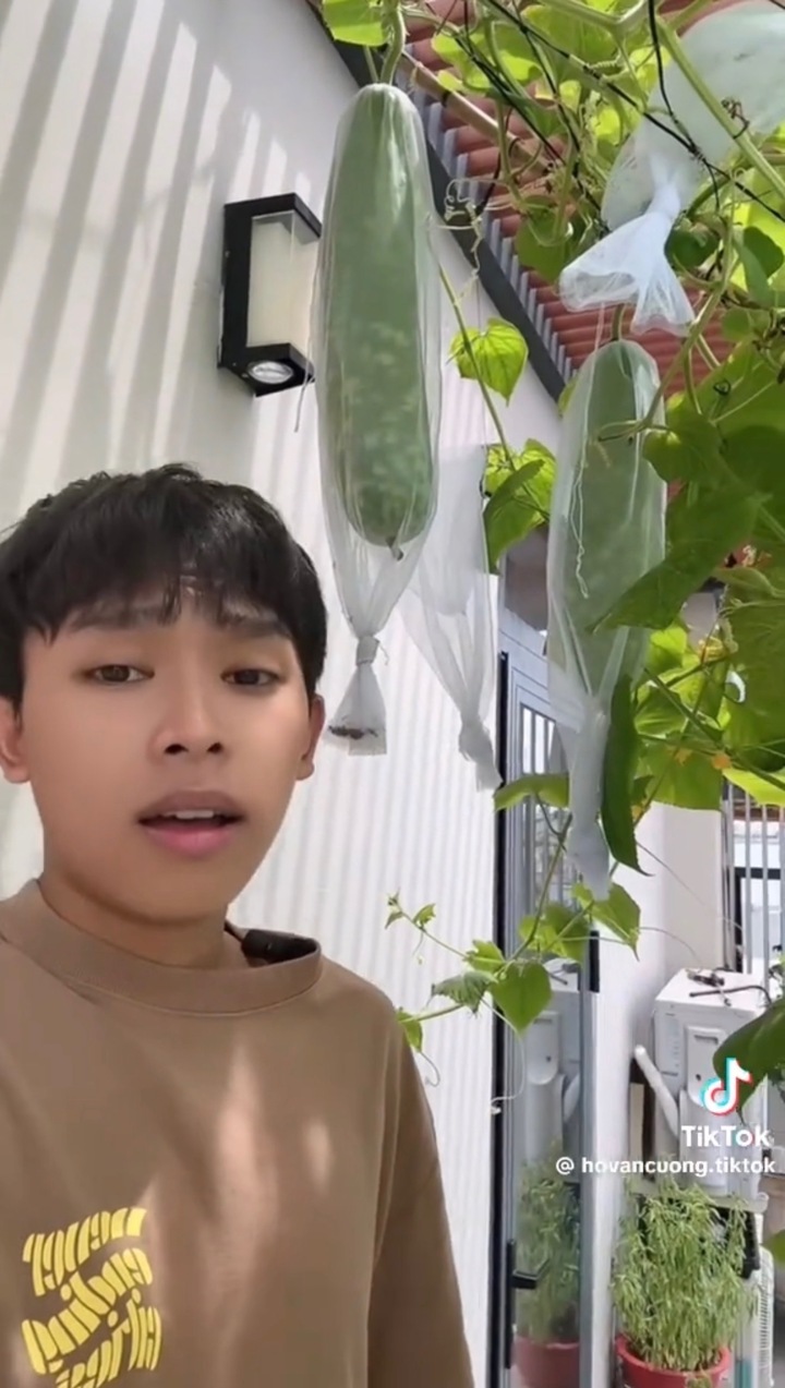 Cậu b&eacute; h&aacute;t đ&aacute;m cưới từng g&acirc;y sốt truyền h&igrave;nh, giờ đắt show, c&oacute; nh&agrave; ri&ecirc;ng tuổi 23- Ảnh 4.