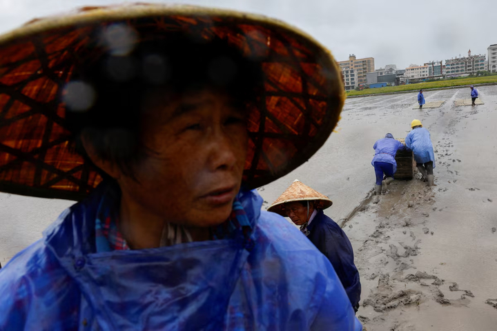 Trung Quốc sơ t&aacute;n hơn 1,8 triệu người v&igrave; si&ecirc;u b&atilde;o Bavi- Ảnh 1.