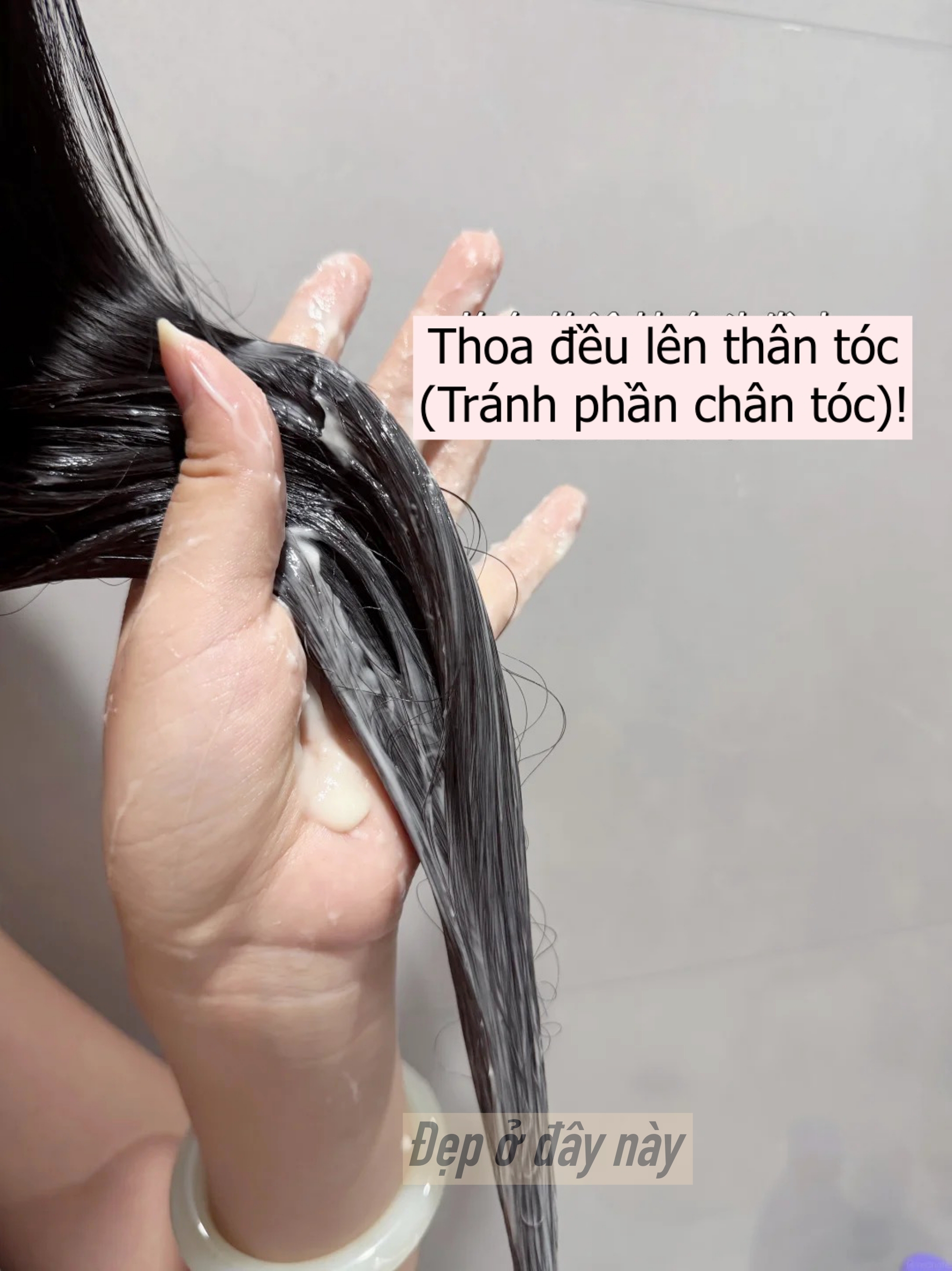 Nhiều người dưỡng t&oacute;c bằng dầu dừa nhưng vẫn thất bại: B&iacute; quyết nằm ở c&ocirc;ng thức 3:1 v&agrave; bước nhũ h&oacute;a trước khi gội- Ảnh 5.