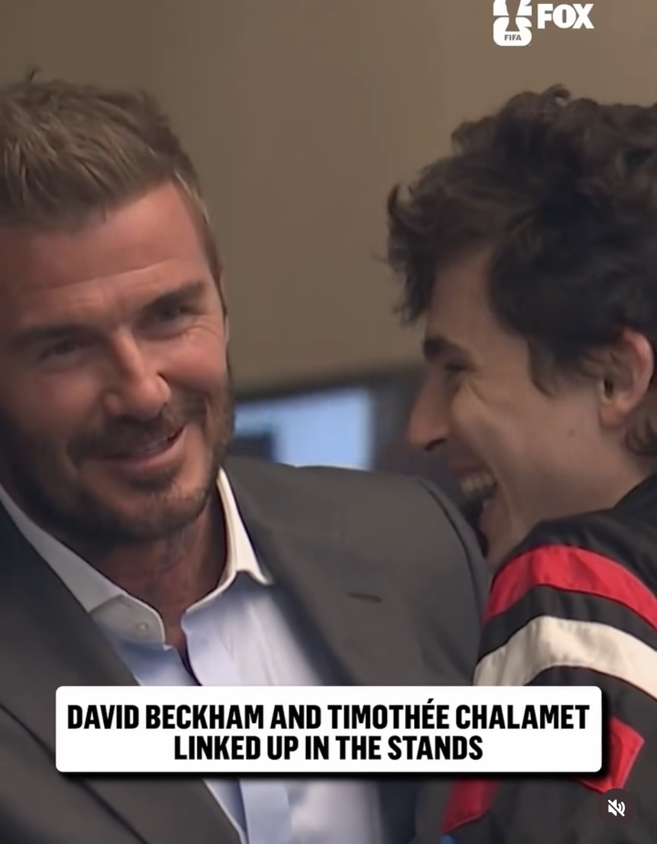 Timoth&eacute;e Chalamet tiếc nuối nh&igrave;n tuyển Ph&aacute;p thua T&acirc;y Ban Nha, vẫn g&acirc;y sốt với khoảnh khắc hội ngộ David Beckham tr&ecirc;n kh&aacute;n đ&agrave;i World Cup- Ảnh 5.
