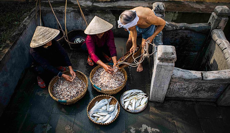 Việt Nam c&oacute; thứ nước chấm được v&iacute; như &ldquo;v&agrave;ng lỏng&rdquo; khiến cả thế giới phải đi t&igrave;m kiếm - Ảnh 5.