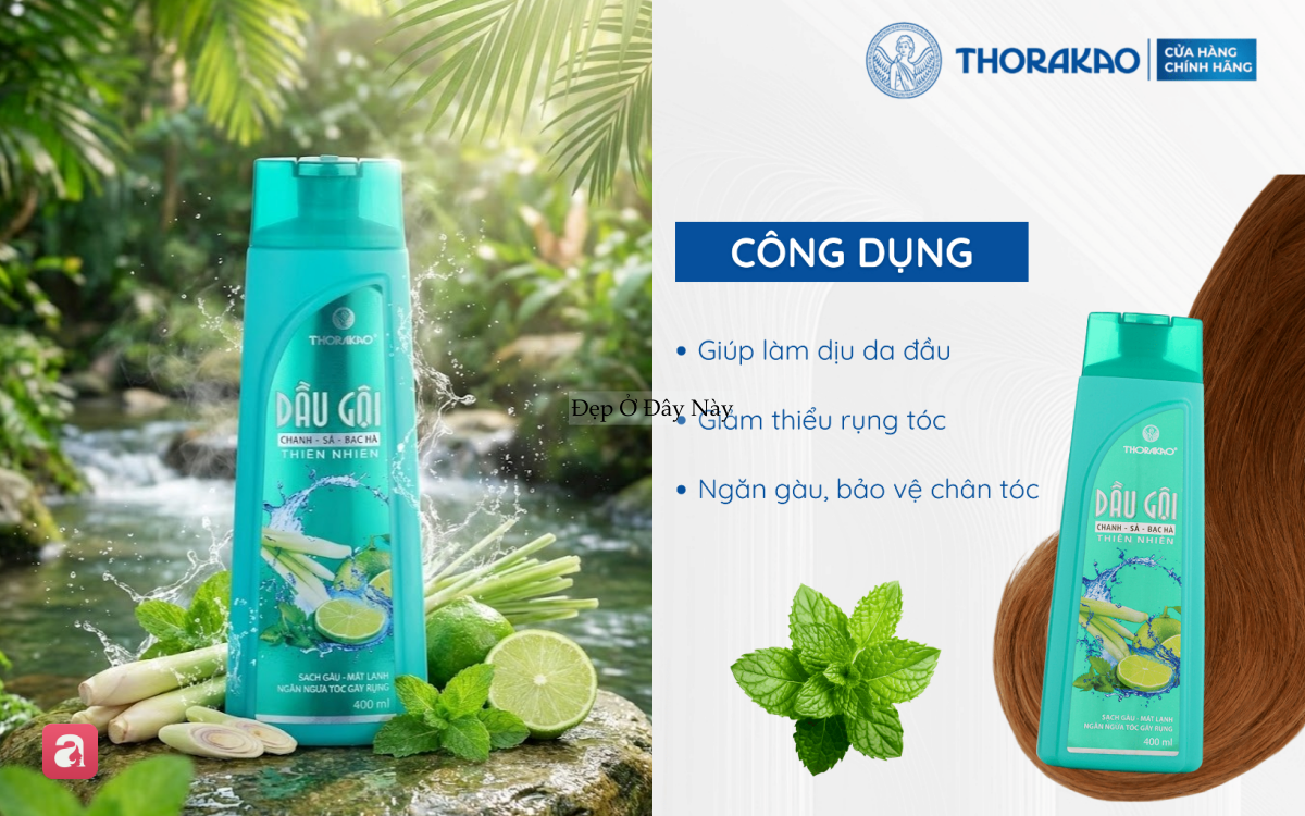 M&ugrave;a n&oacute;ng rất cần: 5 dầu gội bạc h&agrave; vừa sạch s&acirc;u, hỗ trợ mọc t&oacute;c lại m&aacute;t lạnh tức th&igrave;- Ảnh 3.