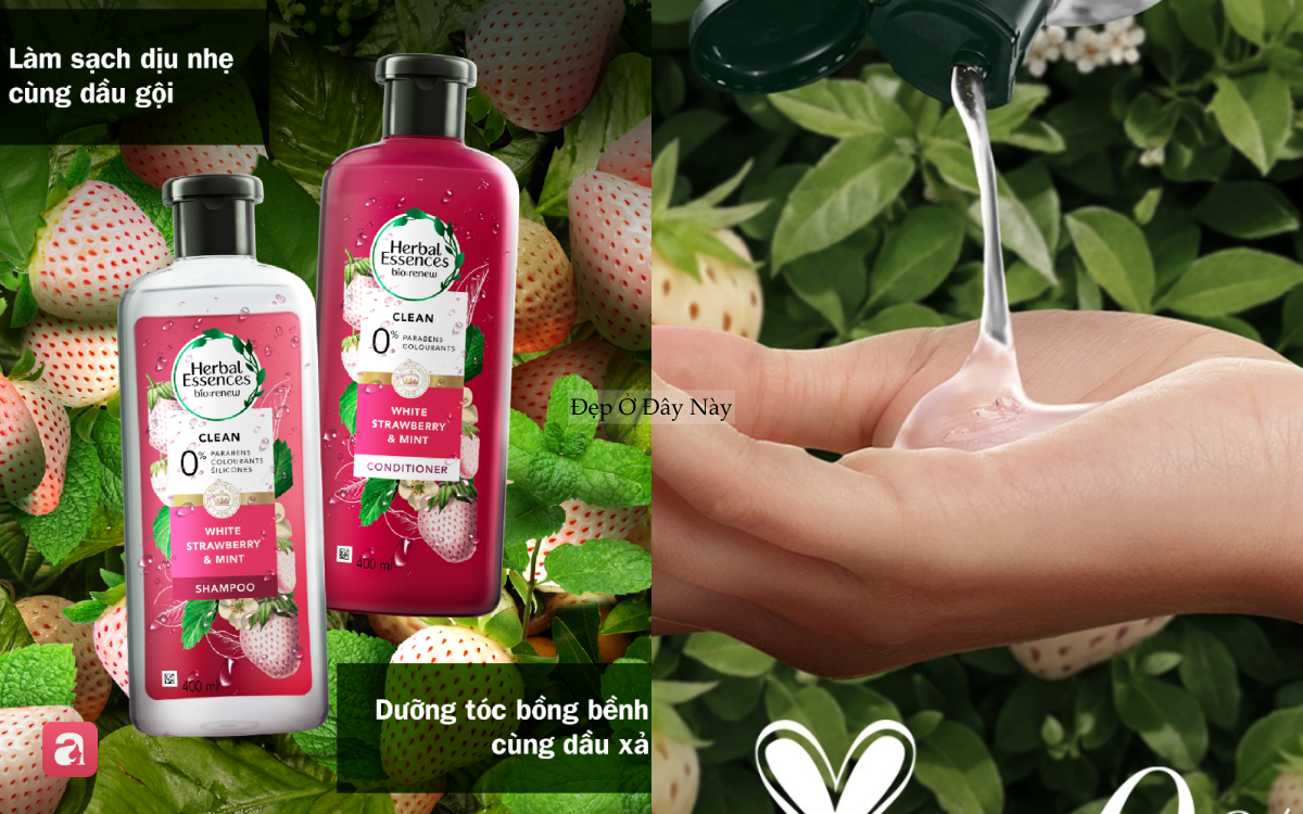 M&ugrave;a n&oacute;ng rất cần: 5 dầu gội bạc h&agrave; vừa sạch s&acirc;u, hỗ trợ mọc t&oacute;c lại m&aacute;t lạnh tức th&igrave;- Ảnh 4.