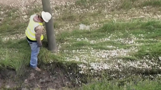 Gần 21 tỷ đồng tiền xu phủ k&iacute;n mặt đường cao tốc Mỹ sau vụ tai nạn hi hữu- Ảnh 3.