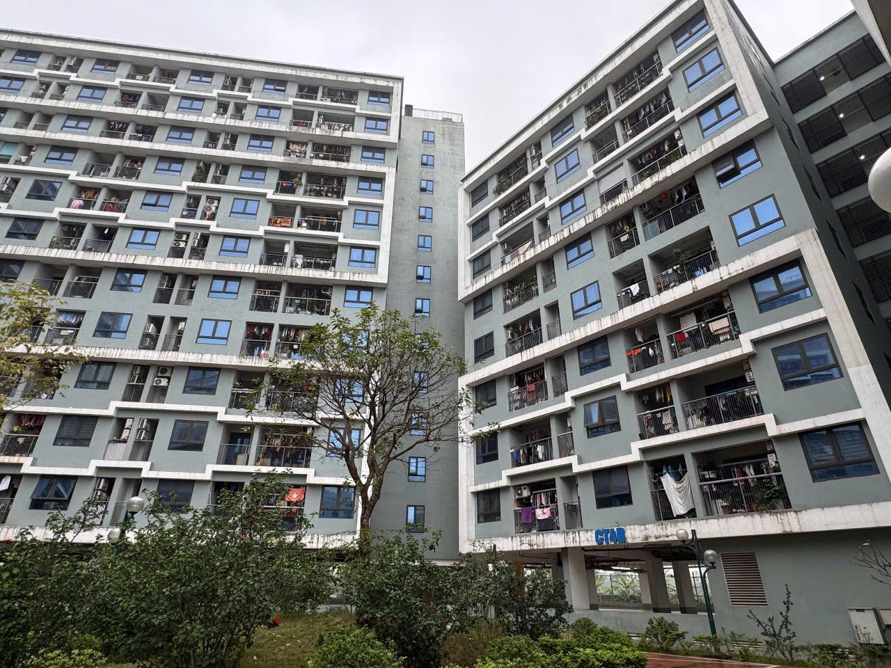Kh&ocirc;ng c&oacute; bảng lương đủ li&ecirc;n tiếp 12 th&aacute;ng, c&oacute; được mua nh&agrave; ở x&atilde; hội kh&ocirc;ng?- Ảnh 1.