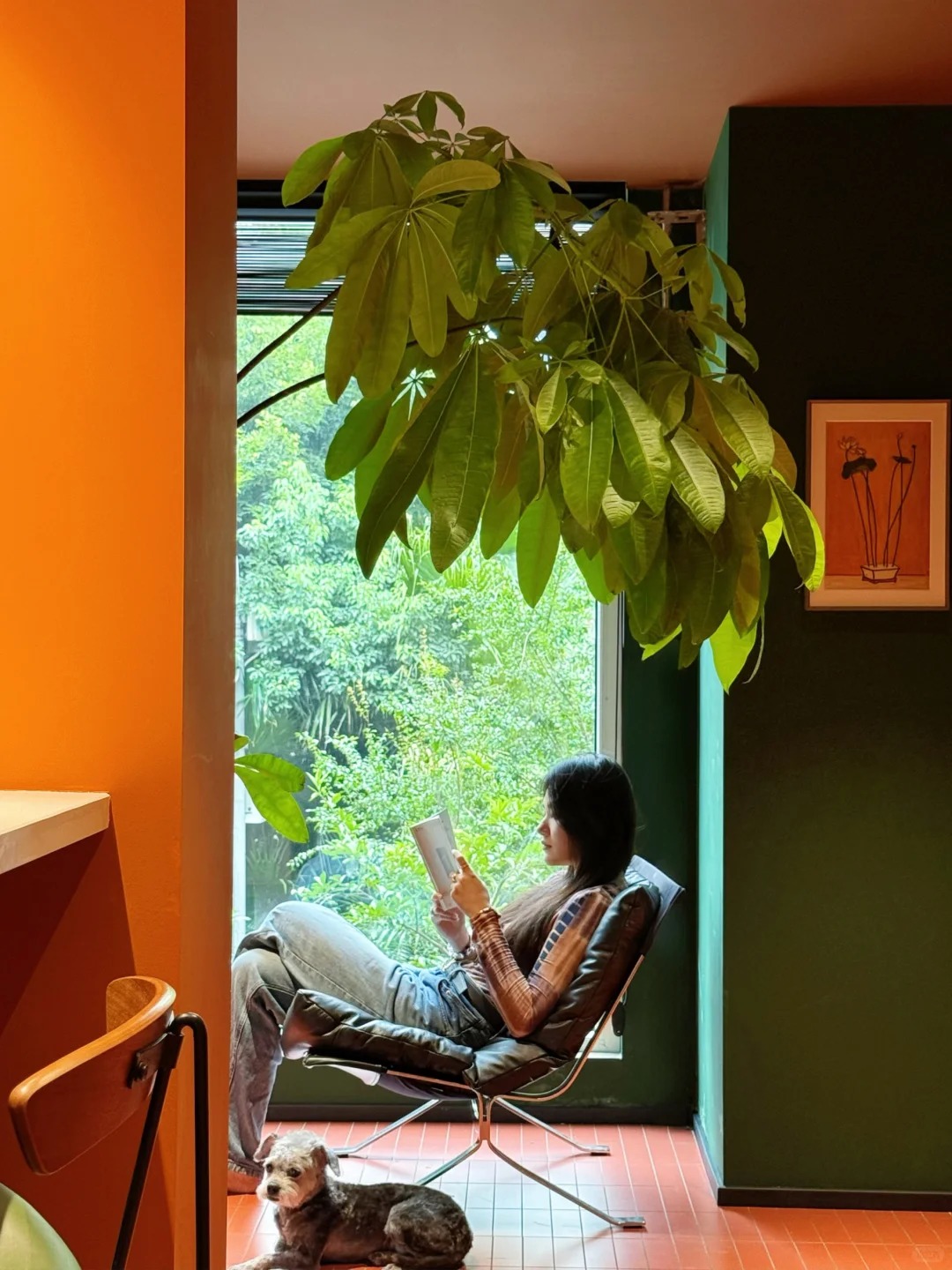 Cải tạo ban c&ocirc;ng 1m2 th&agrave;nh ph&ograve;ng tắm, kh&ocirc;ng đi l&agrave;m vẫn sống rất chill: Cuộc sống khiến nhiều người t&ograve; m&ograve;- Ảnh 13.