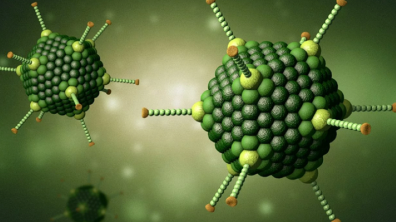 1 loại virus đang tăng nhanh, bể bơi c&ocirc;ng cộng nguy cơ l&acirc;y nhiễm: B&aacute;c sĩ cảnh b&aacute;o dấu hiệu trẻ mắc bệnh, phụ huynh đừng chủ quan - Ảnh 2.