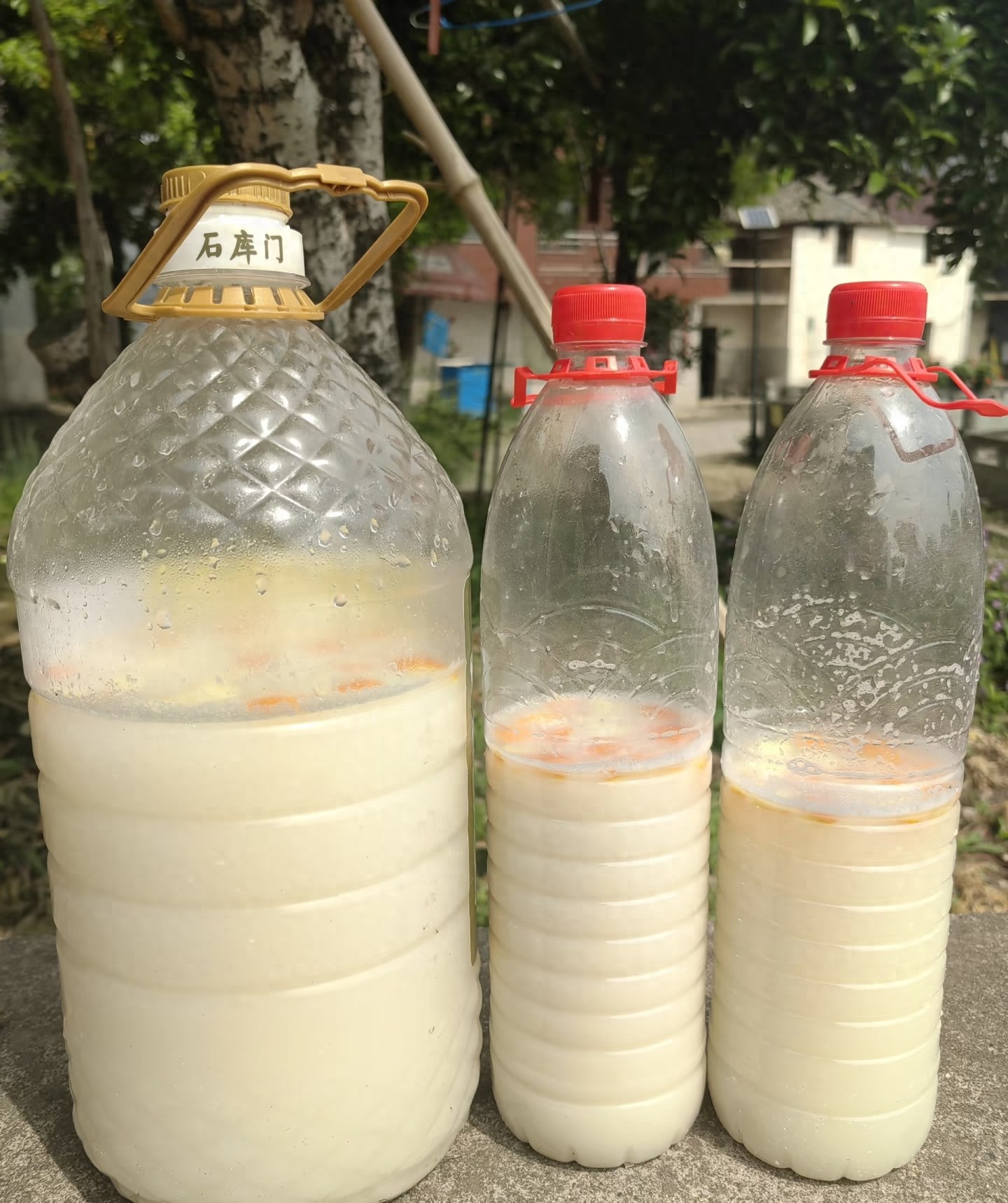 6 loại "nước độc hại" kh&ocirc;ng n&ecirc;n d&ugrave;ng để tưới c&acirc;y v&agrave;o th&aacute;ng 7: Sai một lần, cả chậu c&acirc;y cũng c&oacute; thể h&eacute;o rũ- Ảnh 1.