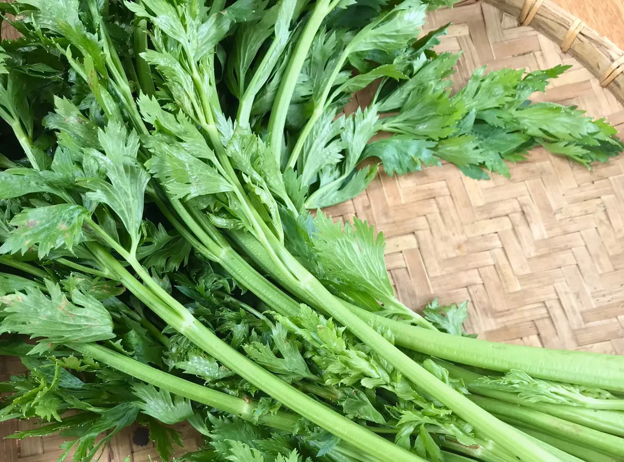 Loại rau quen thuộc với người Việt, được nhắc đến trong sử thi nổi tiếng Hy Lạp: H&oacute;a ra l&agrave; dược liệu qu&yacute;- Ảnh 2.