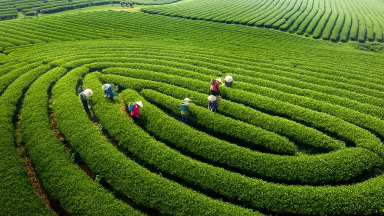 Ai cũng nghĩ l&agrave; Sa Pa, đ&acirc;y mới l&agrave; nơi duy nhất 3 lần được vinh danh đẹp nhất thế giới: C&aacute;ch H&agrave; Nội 180km - Ảnh 1.