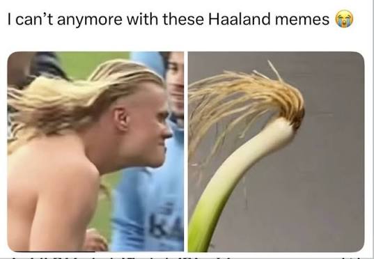 Tiết lộ chiếc meme khiến "qu&aacute;i th&uacute;" Erling Haaland th&iacute;ch th&uacute; nhất: H&oacute;a ra l&agrave; khoảnh khắc giật m&igrave;nh n&agrave;y!- Ảnh 4.