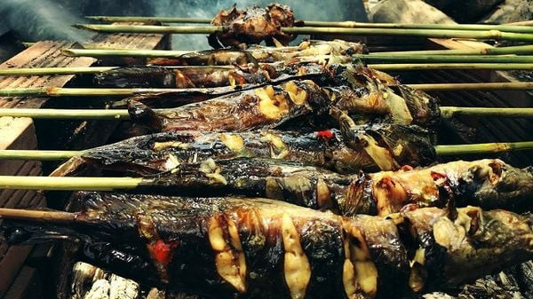 Loại c&aacute; c&oacute; vẻ ngo&agrave;i giản dị l&agrave; cả một thế giới m&oacute;n ngon, rất gi&agrave;u omega-3 v&agrave; protein - Ảnh 4.