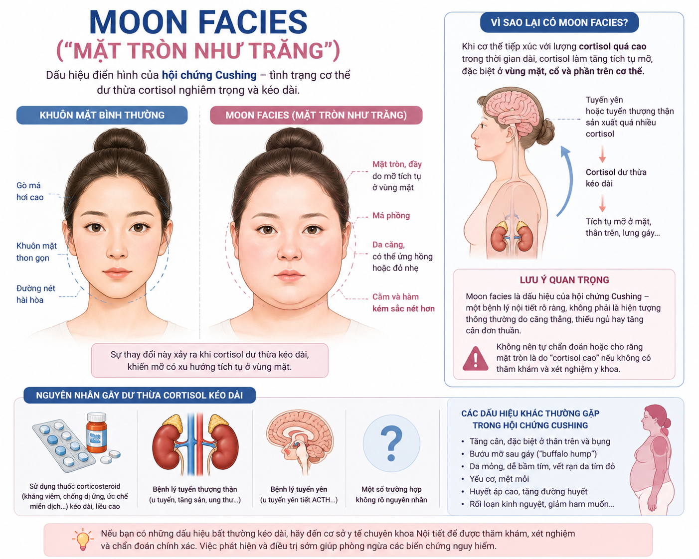 Sự thật về "nước thần" Cortisol Cocktail: Tr&agrave;o lưu thương mại h&oacute;a sự mệt mỏi ph&iacute;a sau sự "đổ oan" cho một hormone- Ảnh 6.