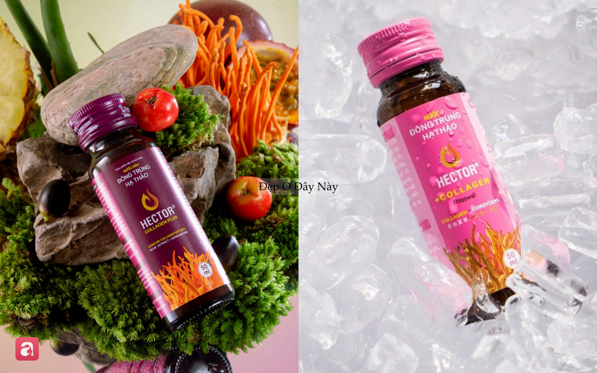 4 loại collagen "made in Vietnam" gi&uacute;p da căng mịn v&agrave; ngừa l&atilde;o h&oacute;a từ b&ecirc;n trong- Ảnh 5.