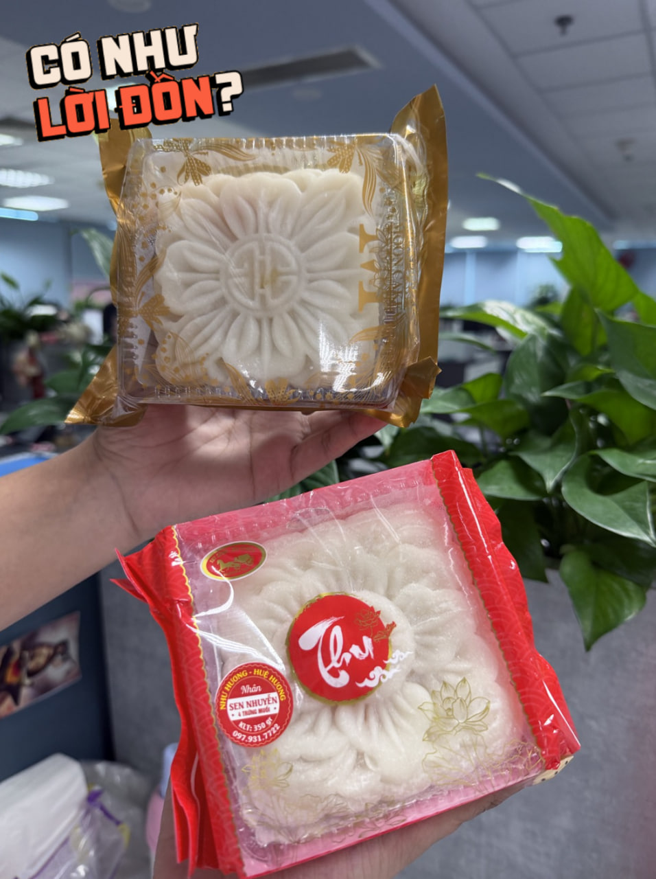 Qu&aacute; đ&aacute;ng tiếc 2 phi&ecirc;n bản &ldquo;b&aacute;nh dẻo thị phi&rdquo; m&ugrave;a Trung thu 2026: Bản cũ lộm cộm ngọt gắt, bản mới bay sạch hương hoa đặc trưng - Ảnh 2.