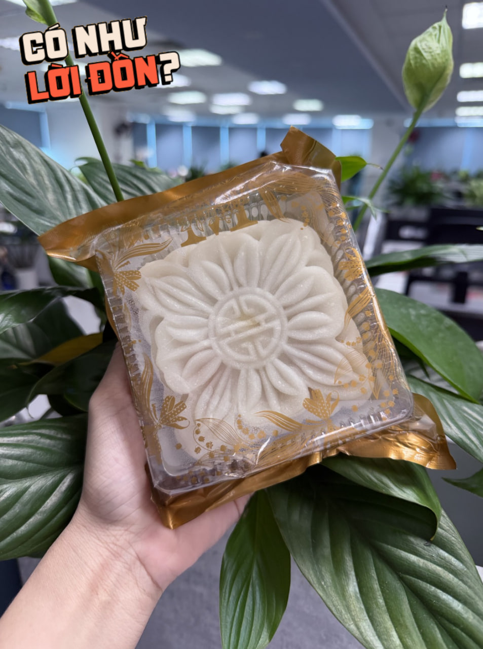 Qu&aacute; đ&aacute;ng tiếc 2 phi&ecirc;n bản &ldquo;b&aacute;nh dẻo thị phi&rdquo; m&ugrave;a Trung thu 2026: Bản cũ lộm cộm ngọt gắt, bản mới bay sạch hương hoa đặc trưng - Ảnh 3.