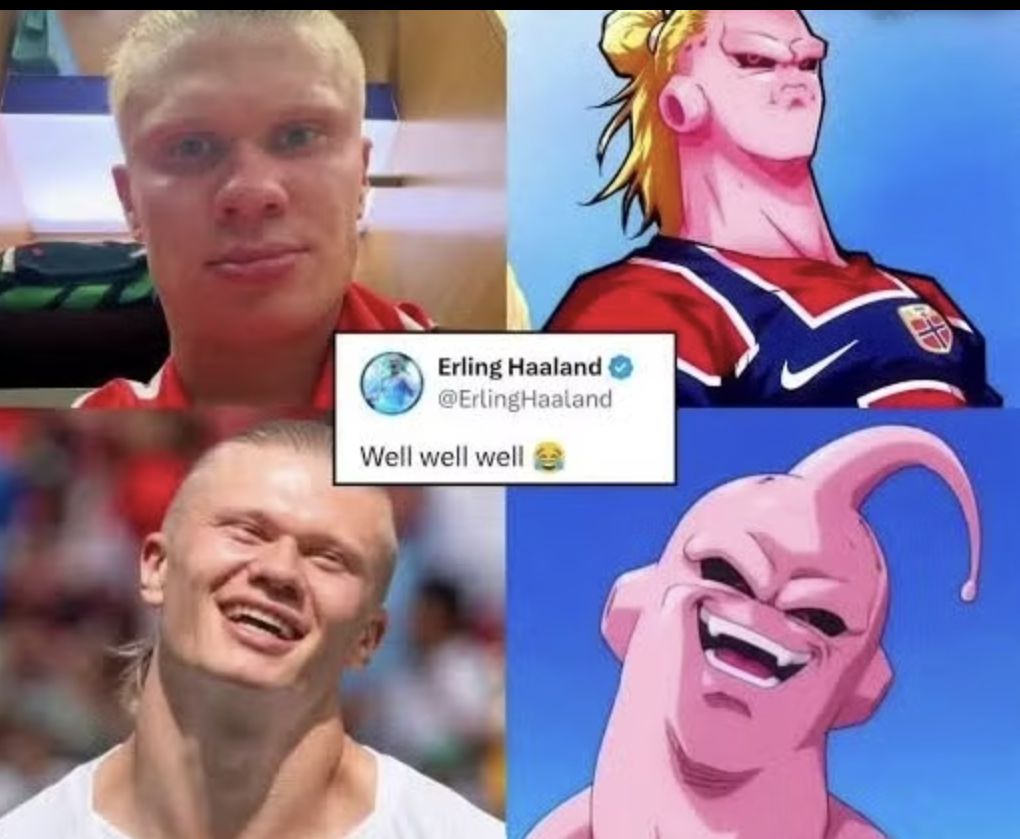 Tiết lộ chiếc meme khiến "qu&aacute;i th&uacute;" Erling Haaland th&iacute;ch th&uacute; nhất: H&oacute;a ra l&agrave; khoảnh khắc giật m&igrave;nh n&agrave;y!- Ảnh 2.