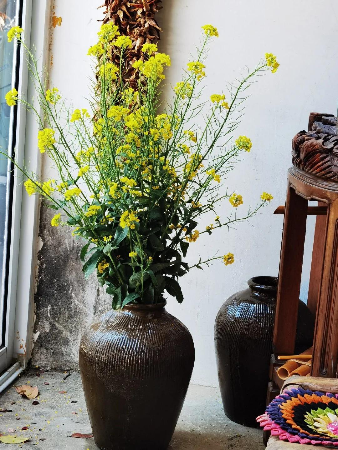 Chi chưa đến 10.000 đồng, người phụ nữ tạo được chậu c&acirc;y khiến cư d&acirc;n mạng đồng loạt hỏi c&aacute;ch l&agrave;m- Ảnh 3.