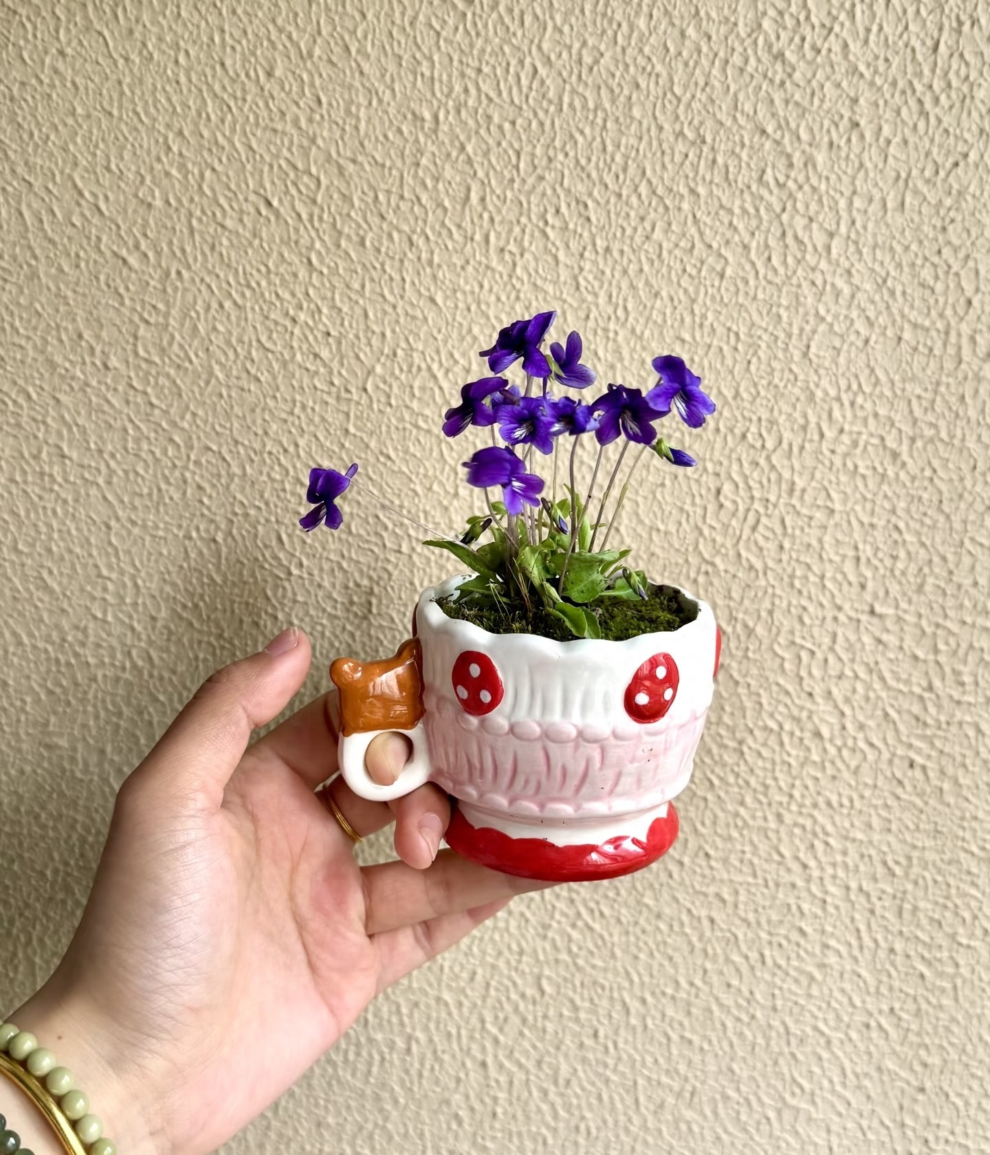 T&ocirc;i học được 4 mẹo trồng hoa "0 đồng" từ cư d&acirc;n mạng: Kh&ocirc;ng cần mua nhiều vẫn c&oacute; ban c&ocirc;ng xanh mướt, hoa nở rực rỡ- Ảnh 1.