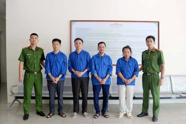 Khởi tố một loạt Gi&aacute;m đốc, chủ doanh nghiệp- Ảnh 6.