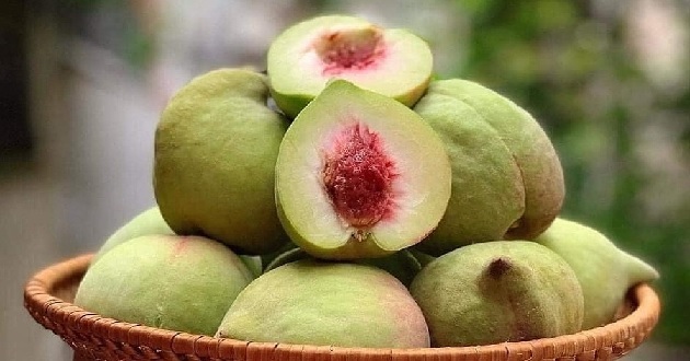 Loại quả "chống vi&ecirc;m tự nhi&ecirc;n" đang v&agrave;o m&ugrave;a, b&aacute;n đầy chợ chuy&ecirc;n gia khuy&ecirc;n n&ecirc;n ăn ngay trong h&egrave; - Ảnh 2.