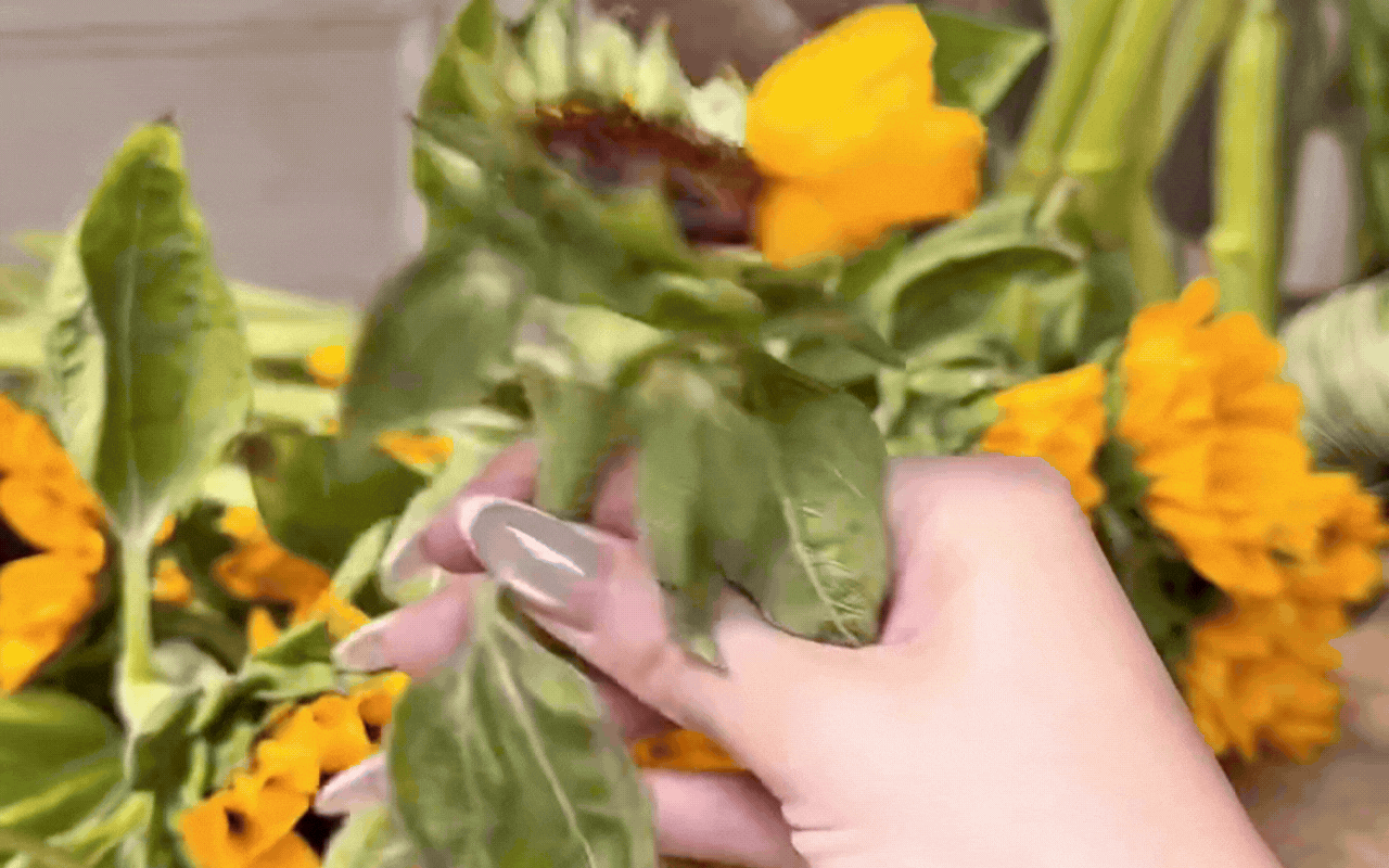 Clip 1 phút 18s của Ngọc Loan gây chú ý- Ảnh 2.