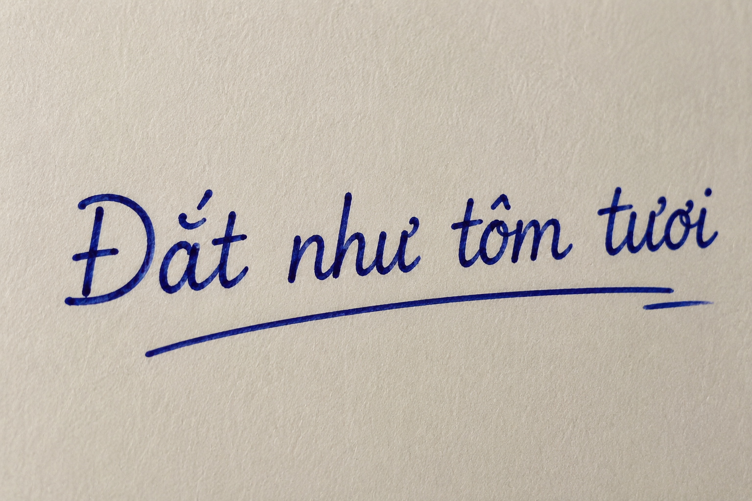 V&igrave; sao gọi l&agrave; "đắt như t&ocirc;m tươi"? - Ảnh 1.