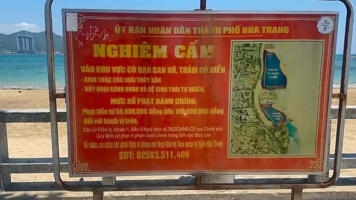 D&ugrave; c&oacute; biển cấm, nh&oacute;m du kh&aacute;ch vẫn bẻ, nhặt san h&ocirc; ở H&ograve;n Chồng mang về- Ảnh 2.