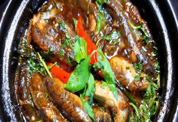 Loại c&aacute; gi&agrave;u dưỡng chất c&oacute; lợi cho sức khỏe nhưng c&oacute; t&ecirc;n kh&aacute; lạ - Ảnh 2.