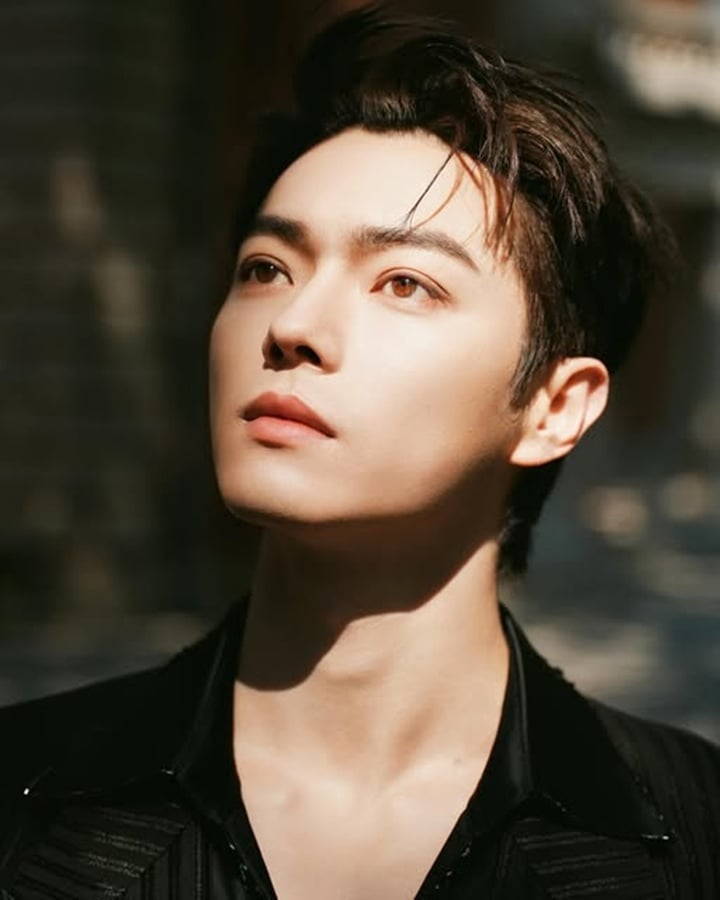 Top 10 nam diễn vi&ecirc;n điển trai nhất showbiz Hoa ngữ hiện nay- Ảnh 8.