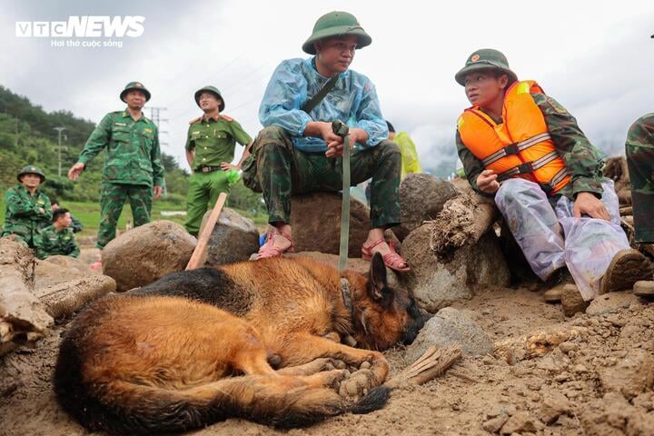 'Chiến binh 4 ch&acirc;n' từng t&igrave;m kiếm người ở L&agrave;ng Nủ, nay v&agrave;o Mường Than cứu nạn- Ảnh 14.