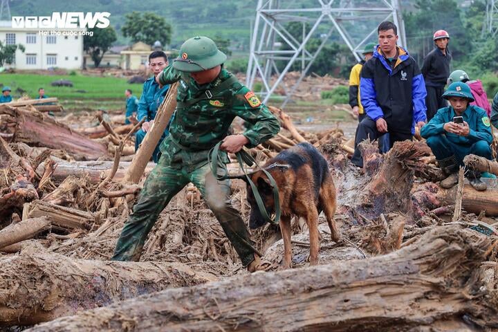 'Chiến binh 4 ch&acirc;n' từng t&igrave;m kiếm người ở L&agrave;ng Nủ, nay v&agrave;o Mường Than cứu nạn- Ảnh 9.