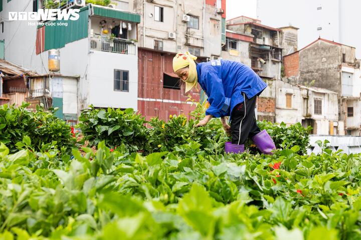 H&agrave; Nội tăng tốc thi c&ocirc;ng đường 'đắt nhất h&agrave;nh tinh', quyết th&ocirc;ng xe trước 2/9- Ảnh 7.