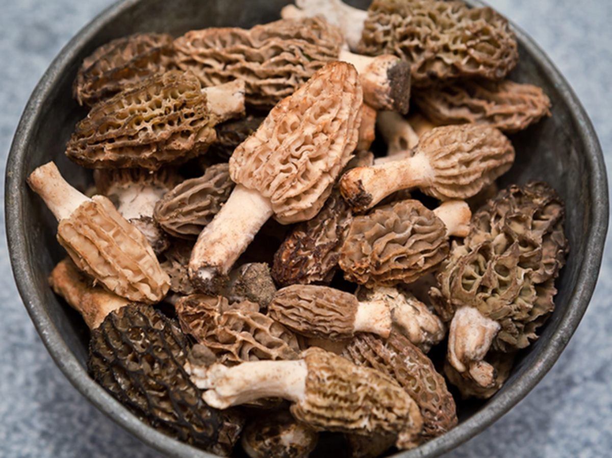 Lo&agrave;i c&acirc;y mọc hoang ở Việt Nam, "trời T&acirc;y" b&aacute;n 13 triệu đồng/kg - Ảnh 1.
