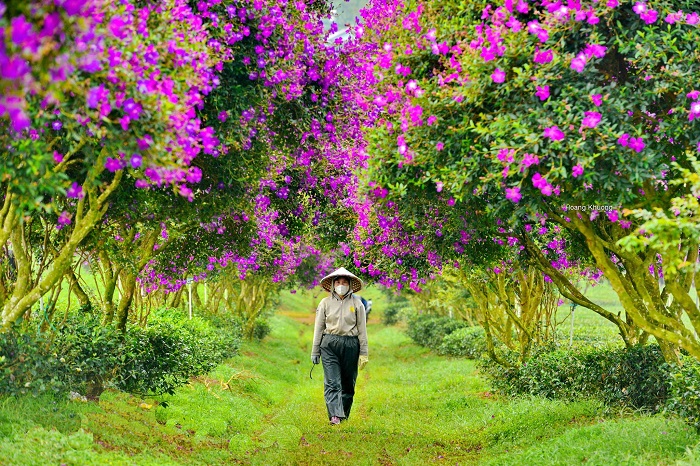 1 anh t&agrave;i nhận c&aacute;i kết đắng khi tin v&agrave;o tr&agrave;o lưu săn hoa, vội khuy&ecirc;n mọi người một điều trước khi khởi h&agrave;nh - Ảnh 8.