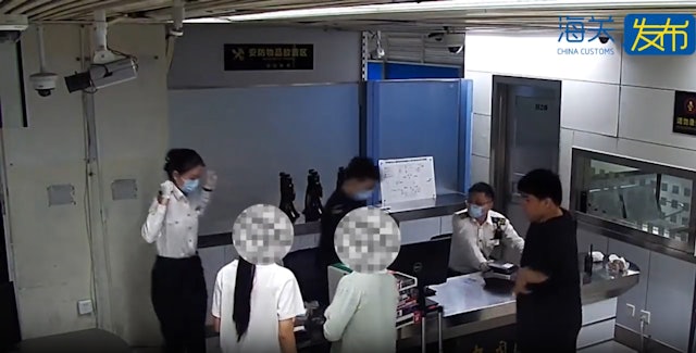 Ph&aacute;t hiện con vẹt sống trong quần 2 người phụ nữ ở hải quan - Ảnh 1.