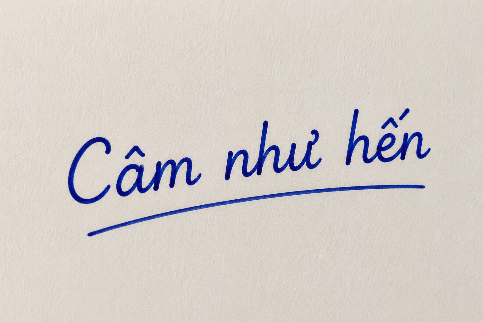 V&igrave; sao gọi l&agrave; "c&acirc;m như hến"? - Ảnh 1.