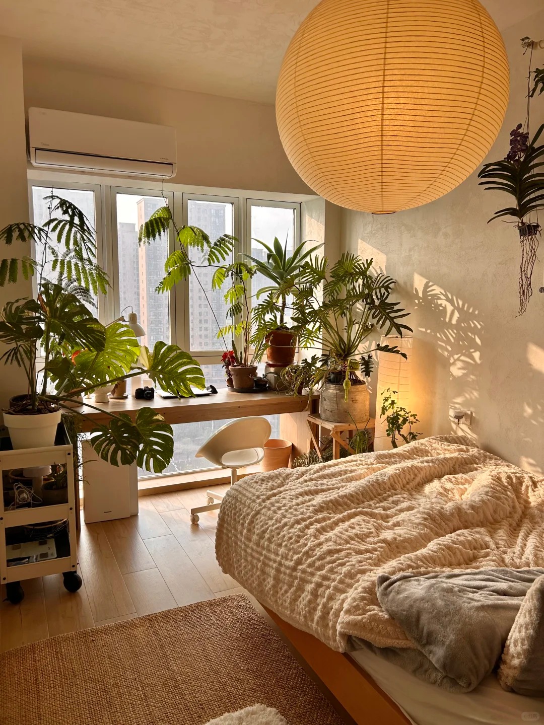 Căn hộ 35m&sup2; ngập tr&agrave;n c&acirc;y xanh của ch&agrave;ng trai độc th&acirc;n - Ảnh 12.