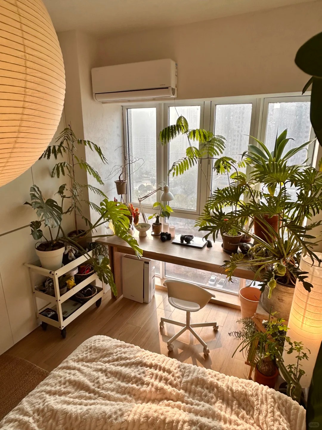 Căn hộ 35m&sup2; ngập tr&agrave;n c&acirc;y xanh của ch&agrave;ng trai độc th&acirc;n - Ảnh 9.